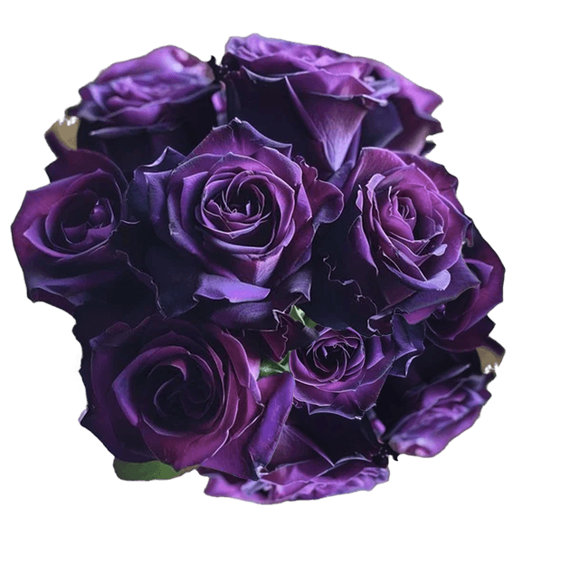 Deep Purple